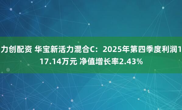 力创配资 华宝新活力混合C：2025年第四季度利润117.14万元 净值增长率2.43%