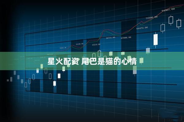 星火配资 尾巴是猫的心情