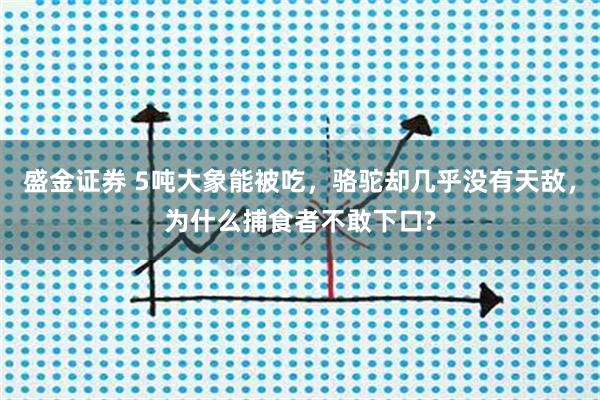 盛金证券 5吨大象能被吃，骆驼却几乎没有天敌，为什么捕食者不敢下口?